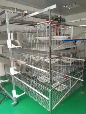 High-End Quality Pigeon Equipment and Pigeon Houses