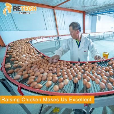 Best sale automatic poultry farm equipment layer chicken battery cages