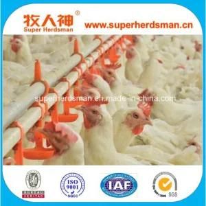 New Poultry Farming Equipment for Chicken with Regulator
