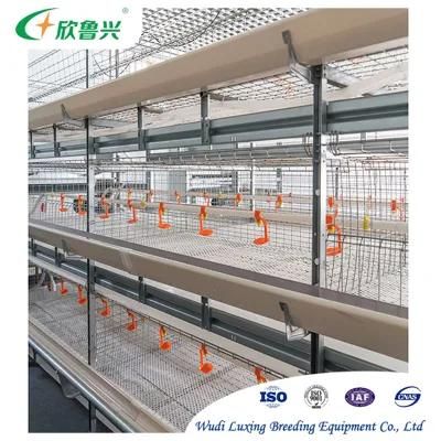 Factory Sale Poultry Nipple Drinker Automatic Chicken Water Drinking System