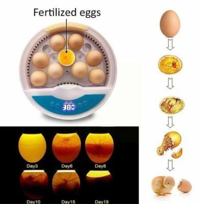 Egg Incubators Automatic Hatching Machine Price for Sale