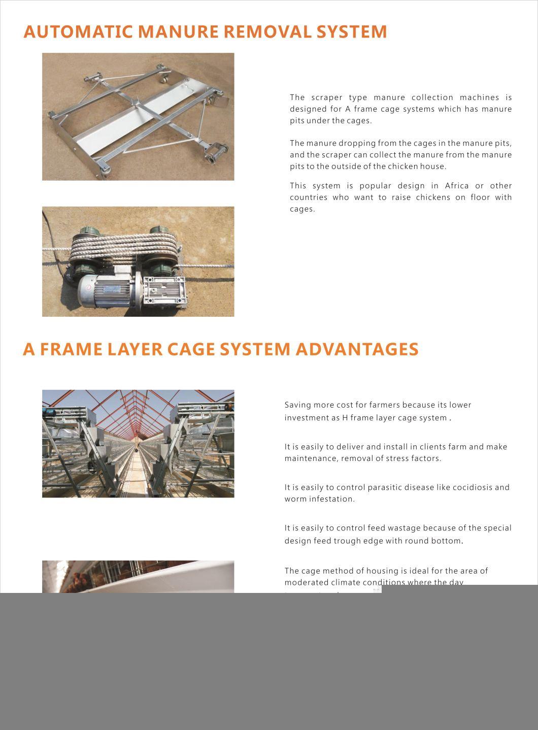 a Type Layer Cage for 50000 Birds Layer Project