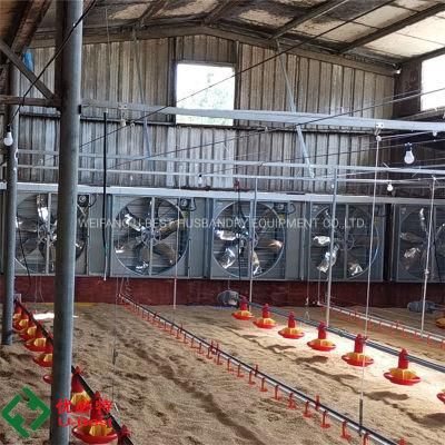 Steel Structure Design Poultry Farm Shed Poultry Equipment for Broiler