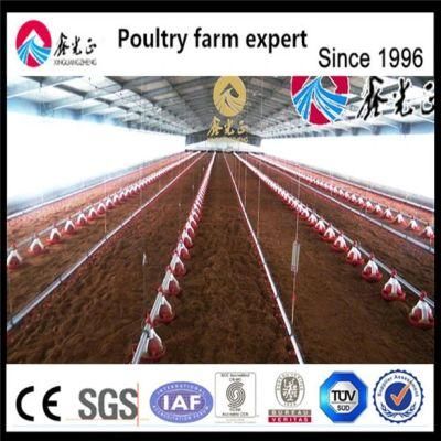 Fully Automatic Feeding System for Steel Structure of Chicken Farm