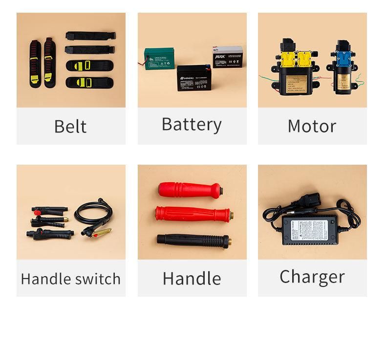 Skyagri Agricultural Sprayer Pump Battery Power Battery Operation Parts 16L