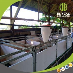 Qingdao Deba Pig Farm Design Equipment Weaning Stall for Sale
