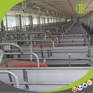 Pig Farm Equipment Anti-Corrosion Hot DIP Galvanied Farrowing Crate