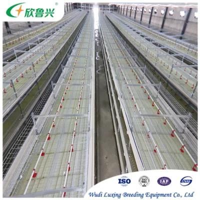 Super Quality 4tier Layer Chicken Battery Poultry Cage with Automatic Nipple Drinking System