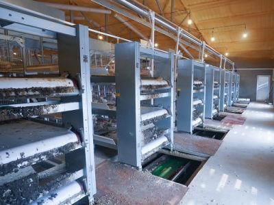 Galvanized Sheet Scraper-Type Manure Cleaning Machine