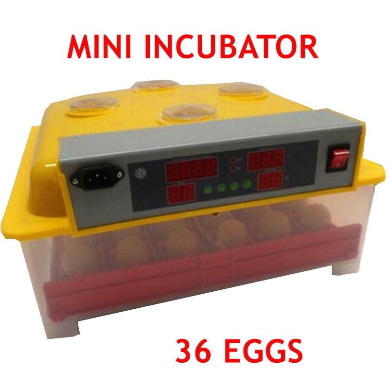 Full Automatic Holding 36 Eggs Energy Saving Durable Power Small Chicken Egg Incubator