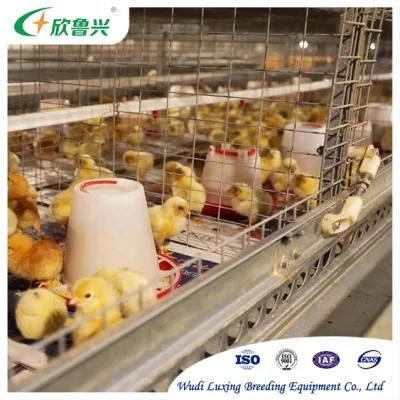 Poultry Farming Equipment / Broiler Pan Feeder / Poultry Feeding Line System