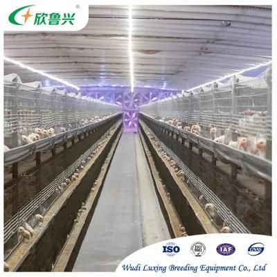 Poultry Farm Equipment Complete Poultry Equipment Solution for Breeder/Broiler/Layer