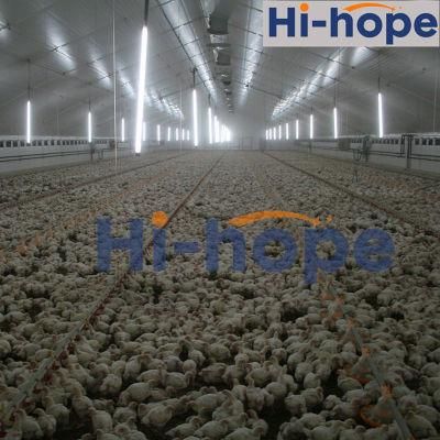 Poultry Shed Broiler Farm Equipment with Nipple Drinking Line and Feeding Pans