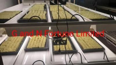 Fodder System Microgreens Farm PVC Gutter