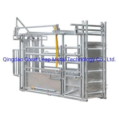 Cattle Livestock Equipment with Head Bale and Sliding Gate