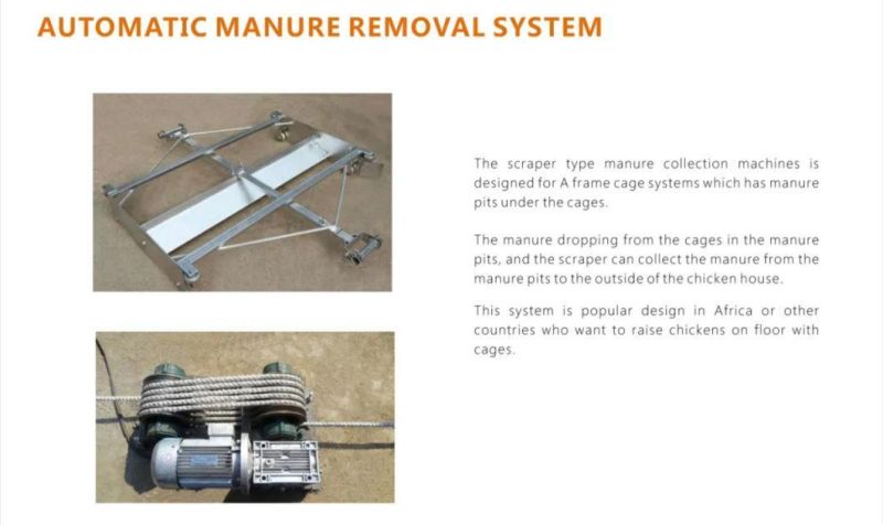 Battery Chicken Cage with Poultry Farming Equipment