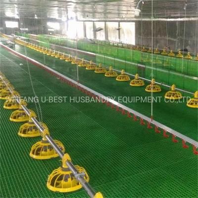 Broiler House Auger Poultry Feeder for Chicken Farm