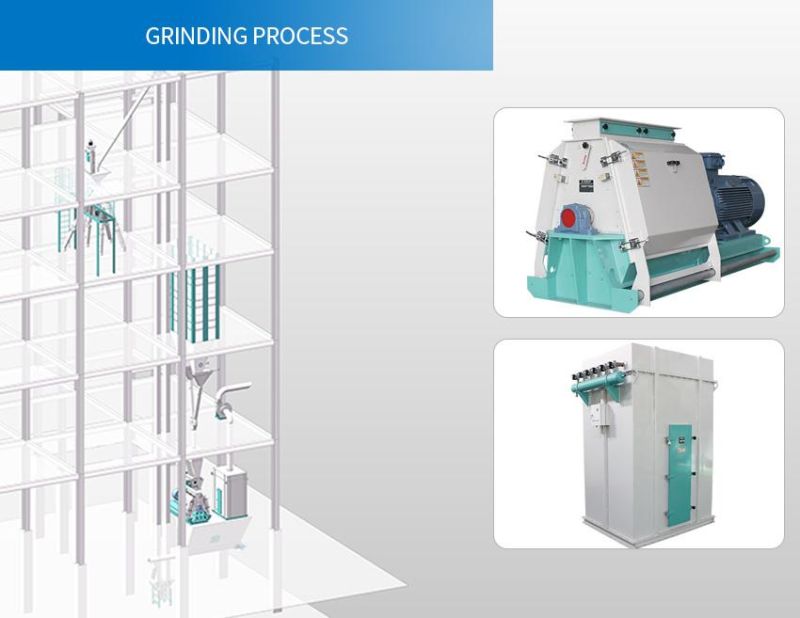 Feed Pellet Plant Feed Processing Plant Feed Production Line