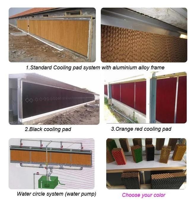 Automatic Modern Chicken House Farm Equipment System and Broiler/Breeder/Bird Pan Feeding System