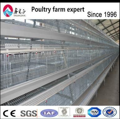 Whole Set Poultry Farm House for Broiler/Breeder/Turkey