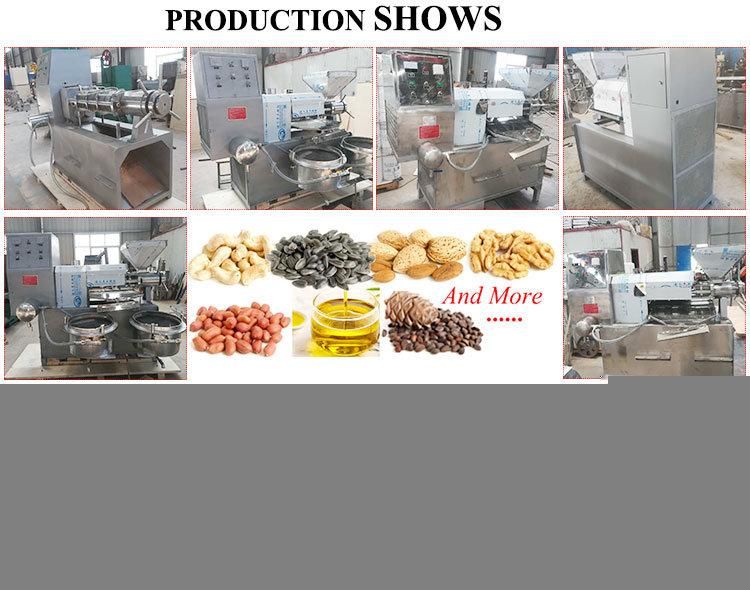 Customized Screw Presser Line Cold Extraction Peanut Olive Soybean Machine Oil Press Equipment