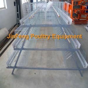 Cheap Automatic Poultry Equipment Broiler Chciken Cage Frame for Farm Use
