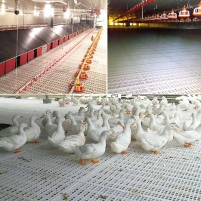 Poultry Farming Equipment Chicken Plastic Slat Floor for Poultry Farm
