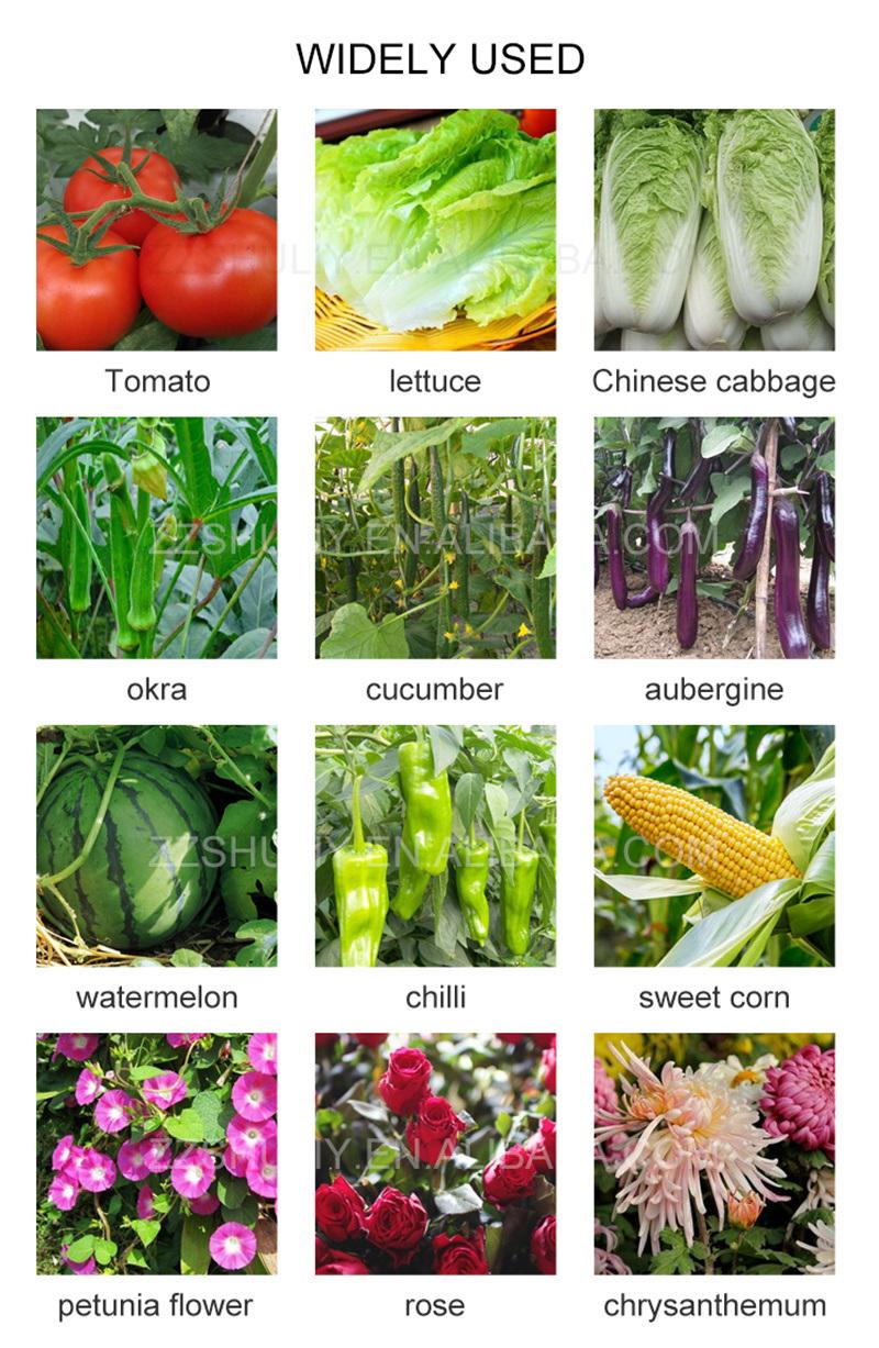 Automatic Seed Planting Machine Trays Seed Planting Machine Nursery Seeding Machine