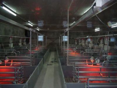 Pig Poultry Farm
