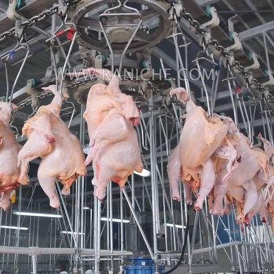 Slaughter House Equipment Scalding Chicken Slaughtering Production Line