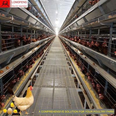 Local After-Sale Service in Asia Feeding Equipment Poultry Farm Chicken Cage