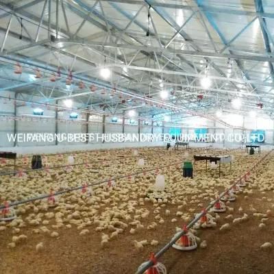 High Quality Modern Broiler Poultry Shed Design for Chicken Farm