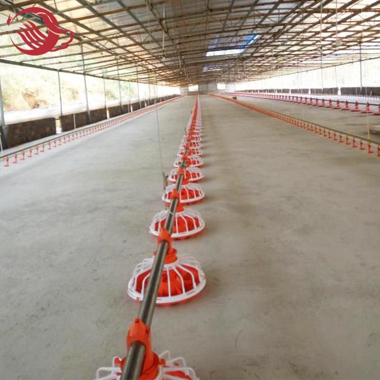 Poultry Farming Equipment Automatic Feeding Watering