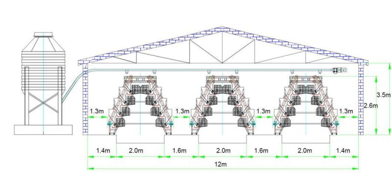 Automatic Feeding A Type Layer Cage