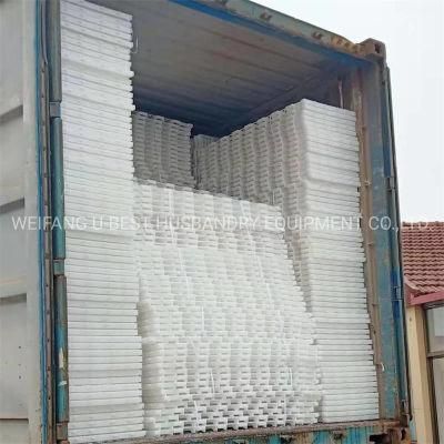 100% PP Virgin Material Poultry Farm Plastic Slat Floor for Chicken