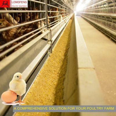 Large Scale Poultry Farming Milking Machines Pullet Layer Chicken Cage
