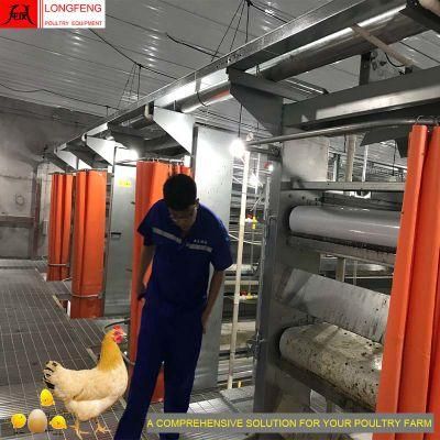 Fans and Cooling Pad Poultry Farm Equipment of Mature Design