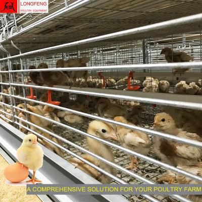 Dosing Medicine and Spray Disinfection Hot Galvanized Large Scale Computerized Poultry Chicken Equipment Factory