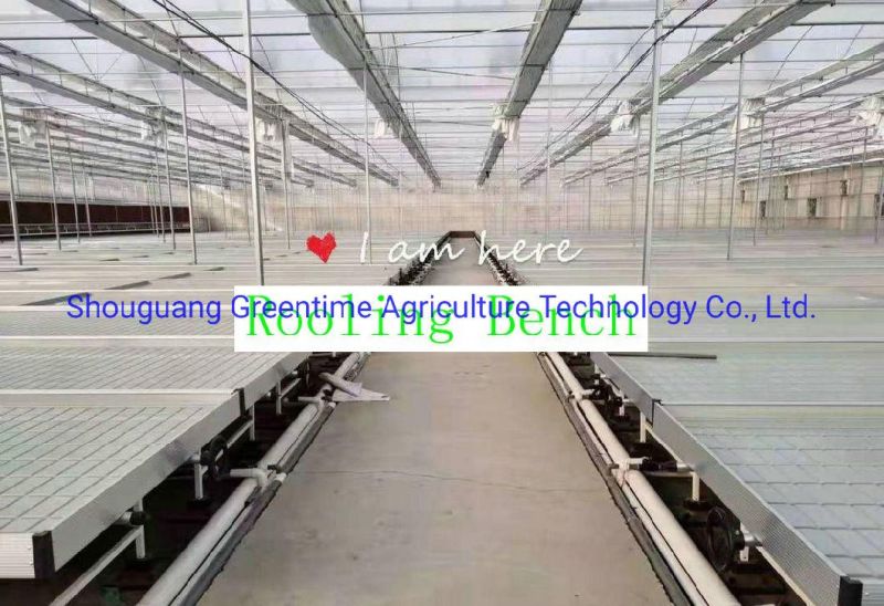 Greenhouse Active Aqua Fast Fit Hydroponic 4X8 Feet Rolling Benches Trays Grow Tables System & Grow Tray Stands for Sale