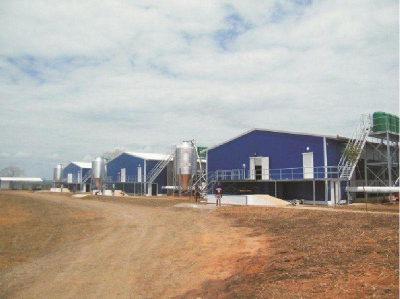 Angola Poultry Shed Project and EPS Sandwich Panel