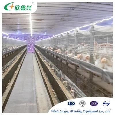 Hot Galvanized Poultry Chicken Cage Cold Galvanized Laying Hen Battery Cage for Sale Nigeria Africa