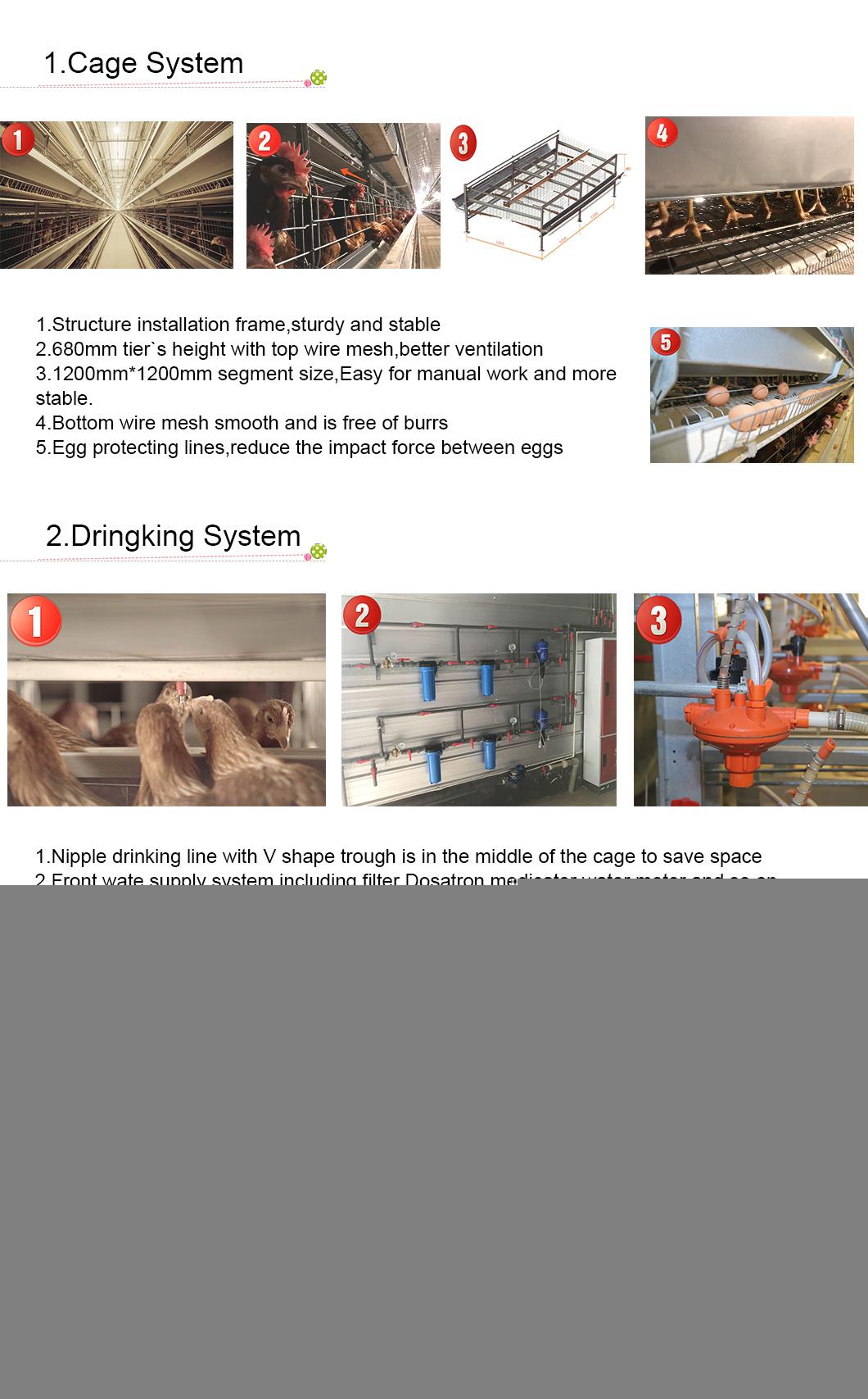 Longfeng Hot Galvanized Material H Frame Poultry Equipment for Laying Hens/Layers/Egg Chicken
