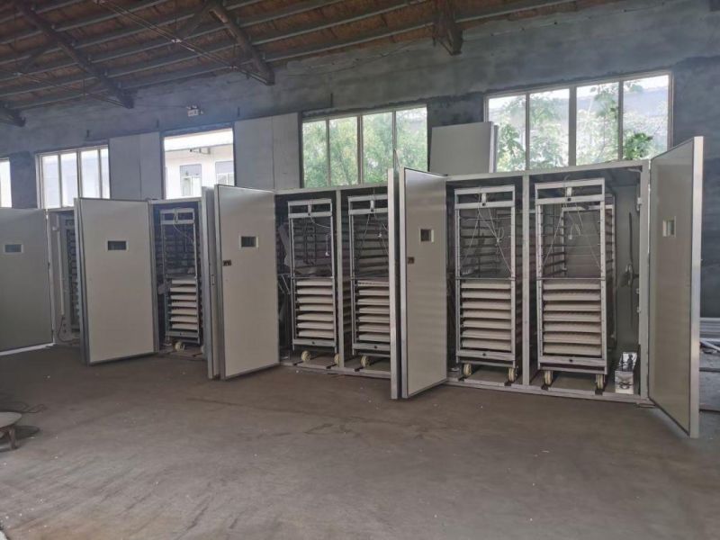 Unique Patented Incubator of Xinguangzheng Designed Equipment