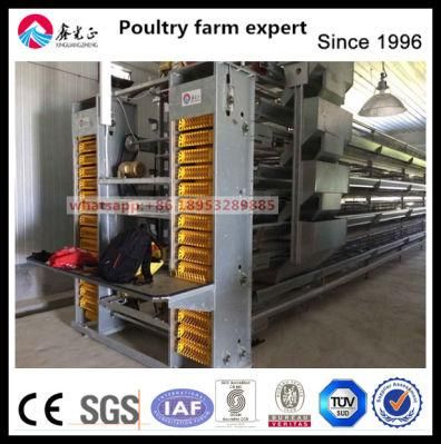 Ce ISO SGS Layer Farm Equipment From China