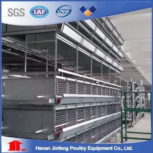 a and H Frame Poultry Cage Automatic Feeding Equipment