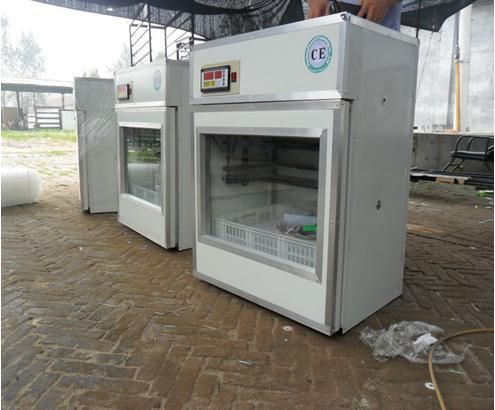 Special Price for Incubator for Quails Eggs Small Automatic Egg Incubator (KP-3)