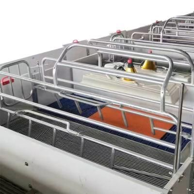 Swine Farm Farrowing Crate Complete Farrowing Equipment for Sale