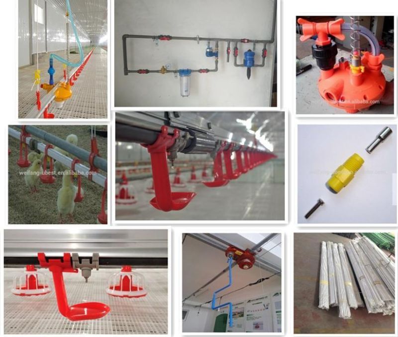 Automatic Poultry Equipment for Broiler / Breeder / Chicken Farm