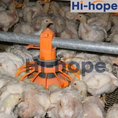 Modern Chicken House Designed Auot Controlling Feed System for Poultry Shed