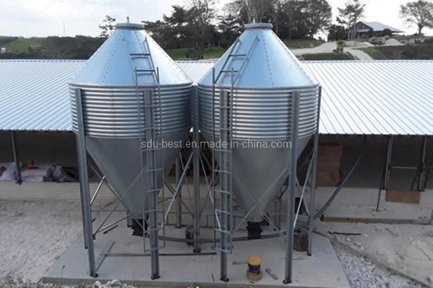 Factory Automatic Poultry Farm Equipment Made for Big Farm